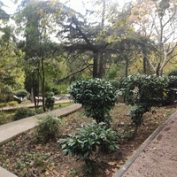 Сквер имени М. П. Чеховой.