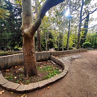 Сквер имени М. П. Чеховой.