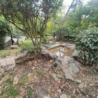 Сквер имени М. П. Чеховой.