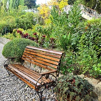 Сад Чехова возле «Белой дачи» - такая же достопримечательность, как и сам дом-музей. Создавался руками писателя, планировавшего его и проектировавшего по своему вкусу и концепции «вечной весны», чтобы почти круглогодично что-то цвело в саду.