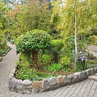 Сад Чехова возле «Белой дачи» - такая же достопримечательность, как и сам дом-музей. Создавался руками писателя, планировавшего его и проектировавшего по своему вкусу и концепции «вечной весны», чтобы почти круглогодично что-то цвело в саду.