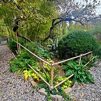 Сад Чехова возле «Белой дачи» - такая же достопримечательность, как и сам дом-музей. Создавался руками писателя, планировавшего его и проектировавшего по своему вкусу и концепции «вечной весны», чтобы почти круглогодично что-то цвело в саду.