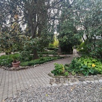 Сад Чехова возле «Белой дачи» - такая же достопримечательность, как и сам дом-музей. Создавался руками писателя, планировавшего его и проектировавшего по своему вкусу и концепции «вечной весны», чтобы почти круглогодично что-то цвело в саду.