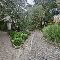 Сад Чехова возле «Белой дачи» - такая же достопримечательность, как и сам дом-музей. Создавался руками писателя, планировавшего его и проектировавшего по своему вкусу и концепции «вечной весны», чтобы почти круглогодично что-то цвело в саду.