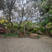 Сад Чехова возле «Белой дачи» - такая же достопримечательность, как и сам дом-музей. Создавался руками писателя, планировавшего его и проектировавшего по своему вкусу и концепции «вечной весны», чтобы почти круглогодично что-то цвело в саду.