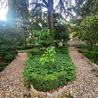 Сад Чехова возле «Белой дачи» - такая же достопримечательность, как и сам дом-музей. Создавался руками писателя, планировавшего его и проектировавшего по своему вкусу и концепции «вечной весны», чтобы почти круглогодично что-то цвело в саду.