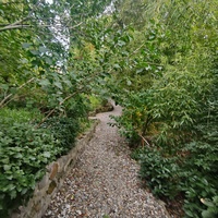 Сад Чехова возле «Белой дачи» - такая же достопримечательность, как и сам дом-музей. Создавался руками писателя, планировавшего его и проектировавшего по своему вкусу и концепции «вечной весны», чтобы почти круглогодично что-то цвело в саду.