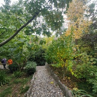 Сад Чехова возле «Белой дачи» - такая же достопримечательность, как и сам дом-музей. Создавался руками писателя, планировавшего его и проектировавшего по своему вкусу и концепции «вечной весны», чтобы почти круглогодично что-то цвело в саду.