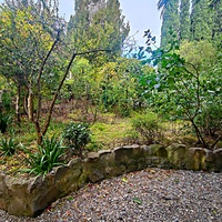 Сад Чехова возле «Белой дачи» - такая же достопримечательность, как и сам дом-музей. Создавался руками писателя, планировавшего его и проектировавшего по своему вкусу и концепции «вечной весны», чтобы почти круглогодично что-то цвело в саду.