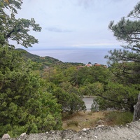 Вид с Алупкинского шоссе возле храмового комплекса Архистратига Михаила на нижепроходящий поворот этого шоссе и Черноморское побережье с застройкой пос. Ореанда.