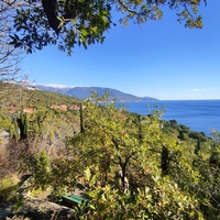 Вид со смотровой площадки за Покровским храмом на Черноморскую акваторию, побережье и посёлок.