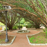 Территория санатория "Днепр" (бывшего дворцово-паркового ансамбля Харакс). Автор финального проекта и дворца и парка - архитектор Николай Петрович Краснов. Первичную структуру парка заложили архитектор М. Котенков и садовник И. Архипов.