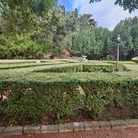 Территория санатория "Днепр" (бывшего дворцово-паркового ансамбля Харакс). Автор финального проекта и дворца и парка - архитектор Николай Петрович Краснов. Первичную структуру парка заложили архитектор М. Котенков и садовник И. Архипов.