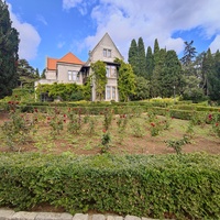 Территория санатория "Днепр" (бывшего дворцово-паркового ансамбля Харакс). Автор финального проекта и дворца и парка (1909г.) - архитектор Николай Петрович Краснов, объединивший архитектуру и ландшафт в стиле позднего модерна. Дворец Харакс.