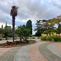 Территория санатория "Днепр" (бывшего дворцово-паркового ансамбля Харакс). Автор финального проекта и дворца и парка - архитектор Николай Петрович Краснов. Первичную структуру парка заложили архитектор М. Котенков и садовник И. Архипов.