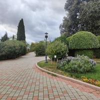 Территория санатория "Днепр" (бывшего дворцово-паркового ансамбля Харакс). Автор финального проекта и дворца и парка - архитектор Николай Петрович Краснов. Первичную структуру парка заложили архитектор М. Котенков и садовник И. Архипов.