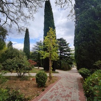 Территория санатория "Днепр" (бывшего дворцово-паркового ансамбля Харакс). Автор финального проекта и дворца и парка - архитектор Николай Петрович Краснов. Первичную структуру парка заложили архитектор М. Котенков и садовник И. Архипов.