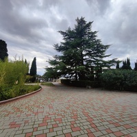 Территория санатория "Днепр" (бывшего дворцово-паркового ансамбля Харакс). Автор финального проекта и дворца и парка - архитектор Николай Петрович Краснов. Первичную структуру парка заложили архитектор М. Котенков и садовник И. Архипов.