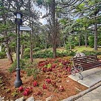 Территория санатория "Днепр" (бывшего дворцово-паркового ансамбля Харакс). Автор финального проекта и дворца и парка - архитектор Николай Петрович Краснов. Первичную структуру парка заложили архитектор М. Котенков и садовник И. Архипов.