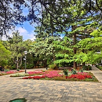 Территория санатория "Днепр" (бывшего дворцово-паркового ансамбля Харакс). Автор финального проекта и дворца и парка - архитектор Николай Петрович Краснов. Первичную структуру парка заложили архитектор М. Котенков и садовник И. Архипов.