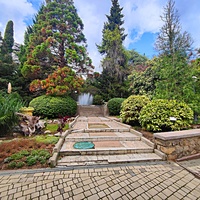 Территория санатория "Днепр" (бывшего дворцово-паркового ансамбля Харакс). Автор финального проекта и дворца и парка - архитектор Николай Петрович Краснов. Первичную структуру парка заложили архитектор М. Котенков и садовник И. Архипов.