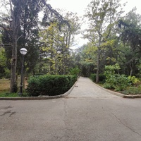 Территория санатория "Днепр" (бывшего дворцово-паркового ансамбля Харакс). Автор финального проекта и дворца и парка - архитектор Николай Петрович Краснов. Первичную структуру парка заложили архитектор М. Котенков и садовник И. Архипов.