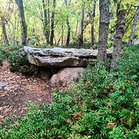 Таврские каменные ящик в конце Царской (солнечной) тропы. Могильник «Гаспра 1» VI-V в. до н.э. на лесистой природной террасе западного склона безымянной возвышенности около пос. Гаспра.