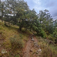 Тропа к посёлку Гаспра от Царской  (солнечной тропы).