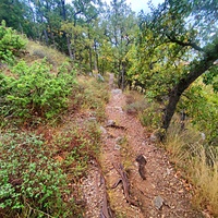 Тропа к посёлку Гаспра от Царской  (солнечной тропы).
