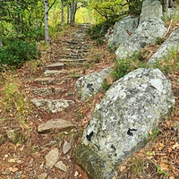 Тропа к посёлку Гаспра от Царской  (солнечной тропы).