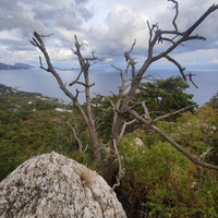 Скальный выступ над одним из обрывов южного склона горного массива Могаби у Стройгородка. Вид на горно-лесистую территорию, побережье к В от Стройгородка.