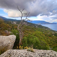 Скальный выступ над одним из обрывов южного склона горного массива Могаби у Стройгородка. Вид на горно-лесистую территорию, побережье к В и С-В от Стройгородка.