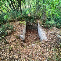 Таврские каменнные ящики около Стройгородка.