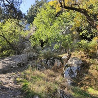 На горе Урьянда (Крестовая).