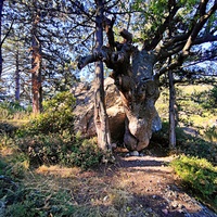 На горе Урьянда (Крестовая).