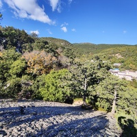 На горе Урьянда (Крестовая).  Вид на горные заросли и застройку посёлка.