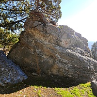 На горе Урьянда (Крестовая).