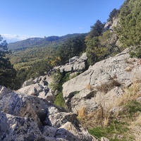 На горе Урьянда (Крестовая). Вдали - Стройгородок.