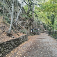 Тропа к водопаду Уча́н-Су́ на территории Ялтинского государственного горно-лесного заповедника.