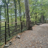 Тропа к водопаду Уча́н-Су́ на территории Ялтинского государственного горно-лесного заповедника.