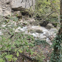 У водопада Уча́н-Су́ на территории Ялтинского государственного горно-лесного заповедника. Ниже - река Водопадная.