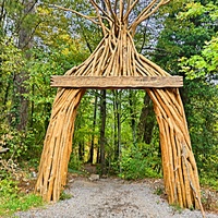 Начало тропы от Бахчисарайского шоссе к сосне Палласа - историч. и биологич. памятнику природы на терр. Ялтинского горно-лесного заповедника. Дерево растёт на южных отрогах плато Ай-Петри и считается одним из древнейших ныне живущих деревьев Крыма.