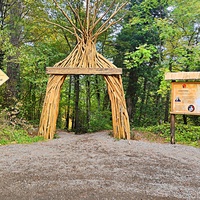 Начало тропы от Бахчисарайского шоссе к сосне Палласа - историч. и биологич. памятнику природы на терр. Ялтинского горно-лесного заповедника. Дерево растёт на южных отрогах плато Ай-Петри и считается одним из древнейших ныне живущих деревьев Крыма.