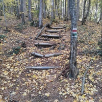 Пешеходный экологический маршрут "Штангеевская тропа" на территории Ялтинского горно-лесного заповедника.