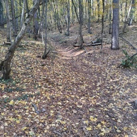 Пешеходный экологический маршрут "Штангеевская тропа" на территории Ялтинского горно-лесного заповедника.