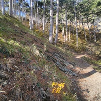 Пешеходный экологический маршрут "Штангеевская тропа" на территории Ялтинского горно-лесного заповедника.