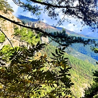 Вдоль экологического маршрута "Штангеевская тропа" на территории Ялтинского горно-лесного заповедника. Вдали - утёс Ставри-Кая.