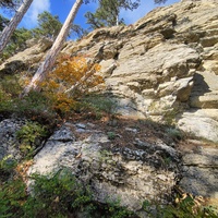 Вдоль экологического маршрута "Штангеевская тропа" на территории Ялтинского горно-лесного заповедника.