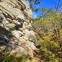 Вдоль экологического маршрута "Штангеевская тропа" на территории Ялтинского горно-лесного заповедника.