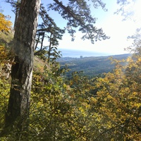 Вдоль экологического маршрута "Штангеевская тропа" на территории Ялтинского горно-лесного заповедника.